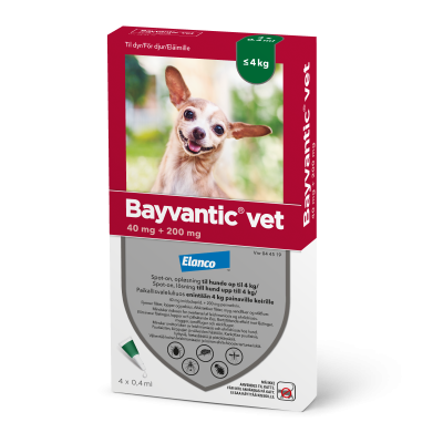 Bayvantic vet paikallisvaleluliuos 200/40 mg enintään 4 kg painaville koirille 4 x 0.4 ml